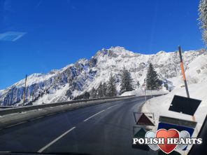 tygrysek299 tygrysek299
