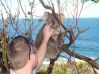 Australia; Great Ocean Road 