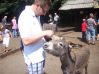 ja w Serengetipark czerwiec 2009