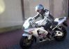 wolny81