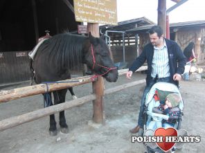 jacek2232