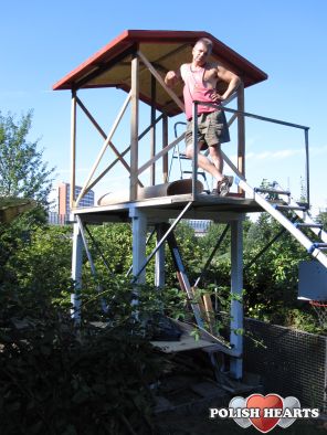 tauben
