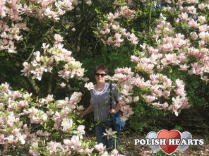 danuta_126