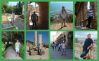 Piotreq89