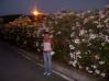 grecja