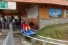pirania1