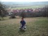 gizmo__86