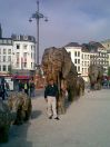 Antwerpia-Belgia