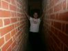 malbork