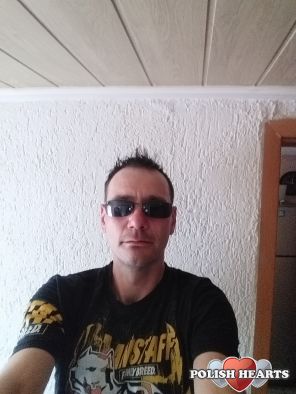 bolo83