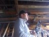 ALLANEK12