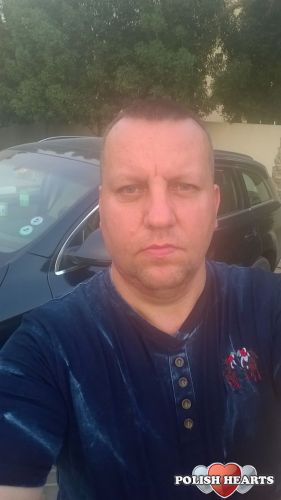 Bolo50