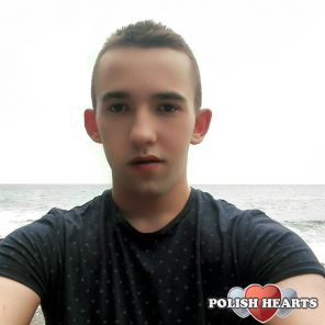 novik2