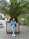 AAllo