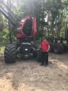 timberjack