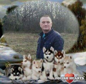 2304jacek
