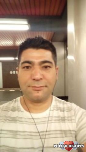 Acelin40
