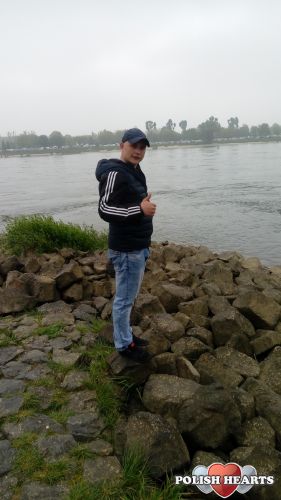 Ligarek