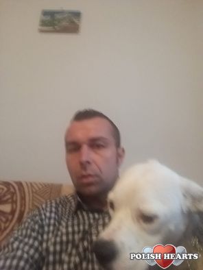 serwisy randkowe labrador jak długo rozmawiasz przed rozpoczęciem randki